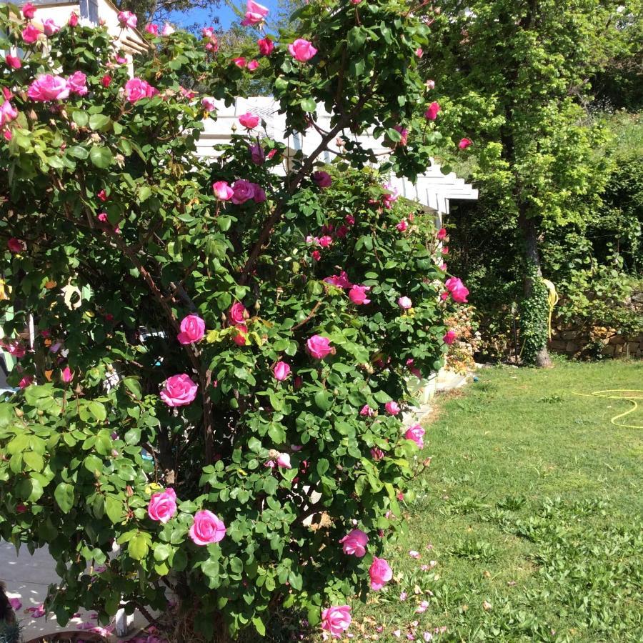 Bienvenue Chez Alain Et Marie Διαμέρισμα Αντίμπ Εξωτερικό φωτογραφία